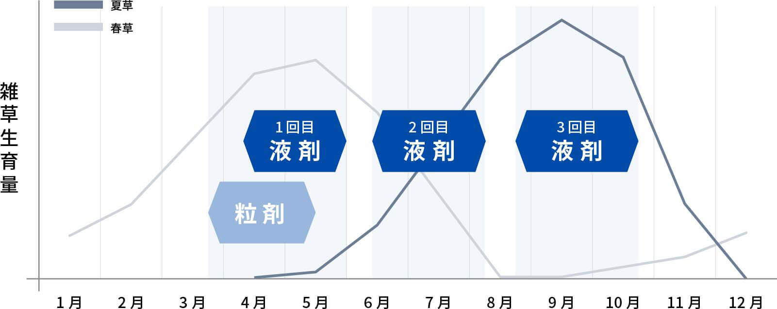 除草剤の散布時期